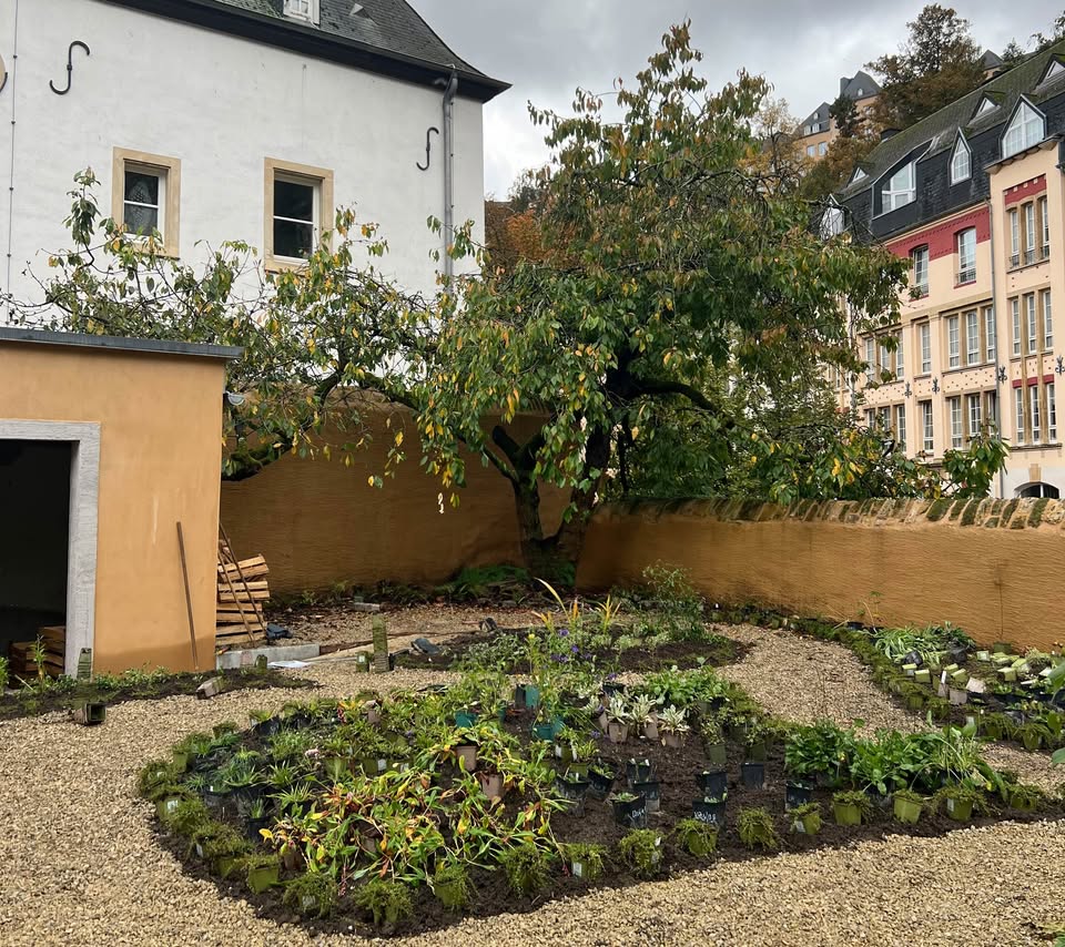 Sous le cerisier : visites guidées du jardin
