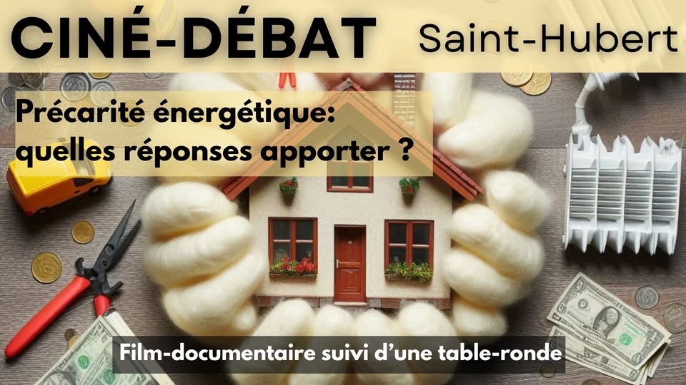 Cinema and Roundtable: Energy Insecurity, What Solutions Can Be Offered?