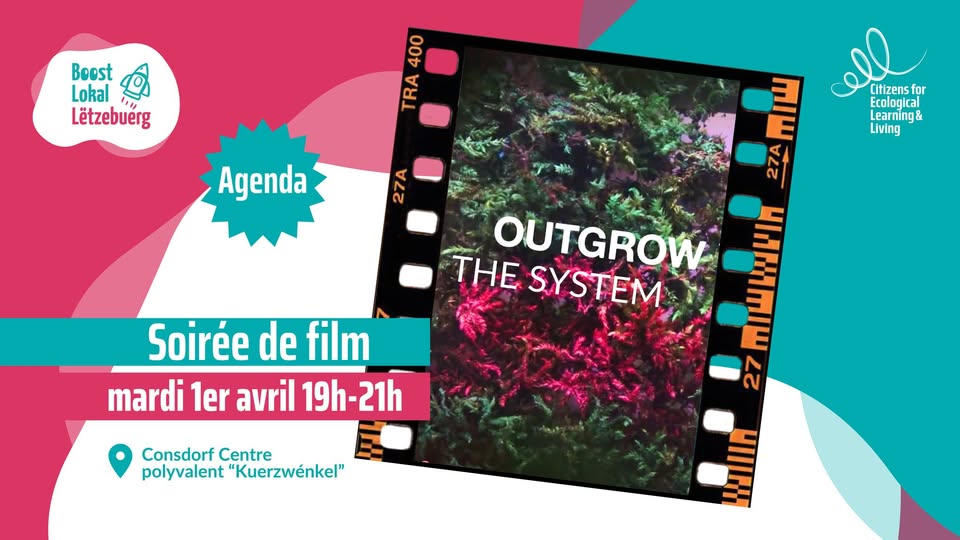 Film night: Outgrow the System