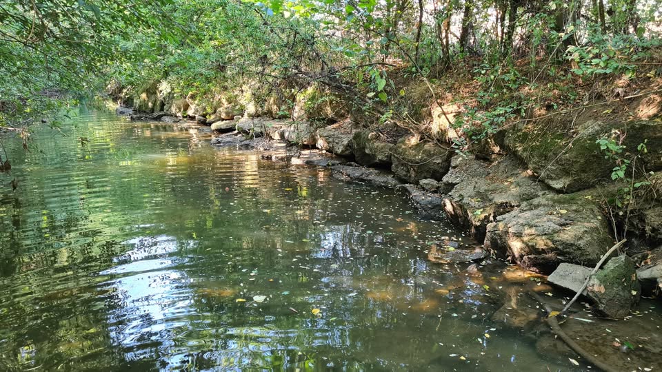Biotope Network Aqua Flora Fauna