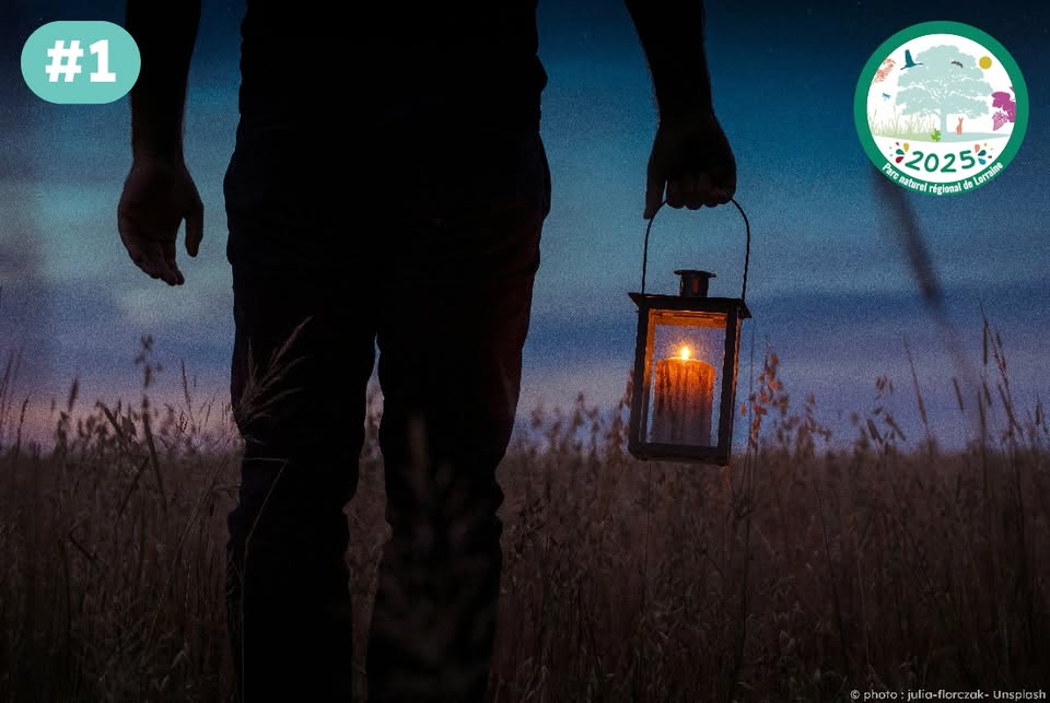 Lantern Story Walk #1