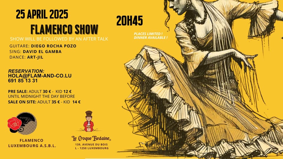 Flamenco Show and Discussion