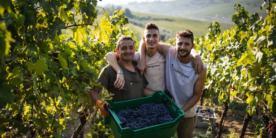 Rencontres Producteurs : Dégustation des vins du domaine San Patrignano en présence du producteur