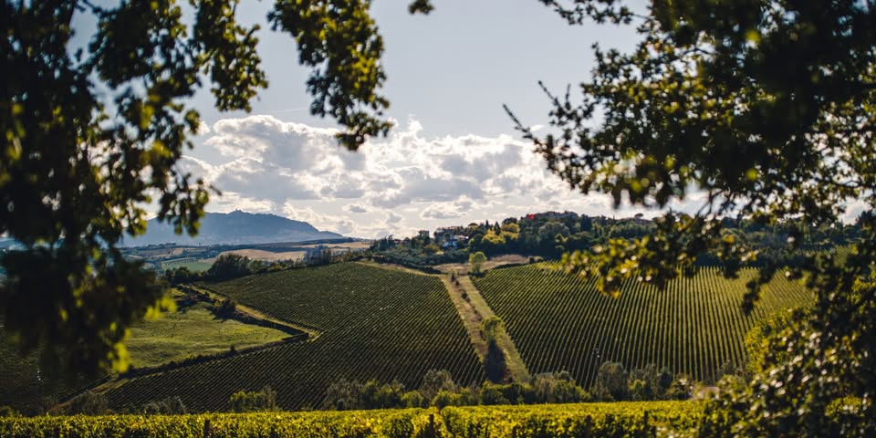 Soirée spéciale Emilia-Romagna : Dîner accords mets & vins (Domaine San Patrignano)