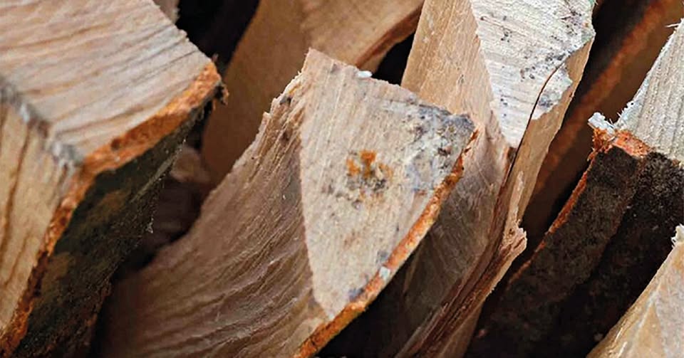 Holzstee 2025