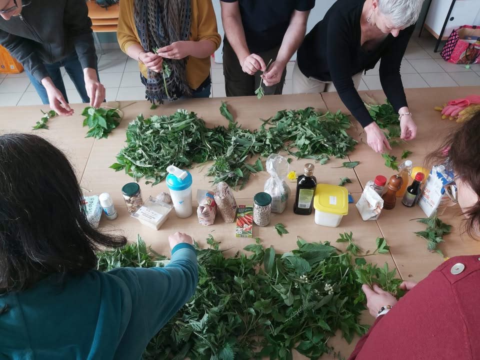 Workshop on Identification, Recognition, and Cooking of Wild Plants