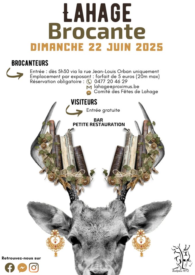 Flea Market in Lahage 2025