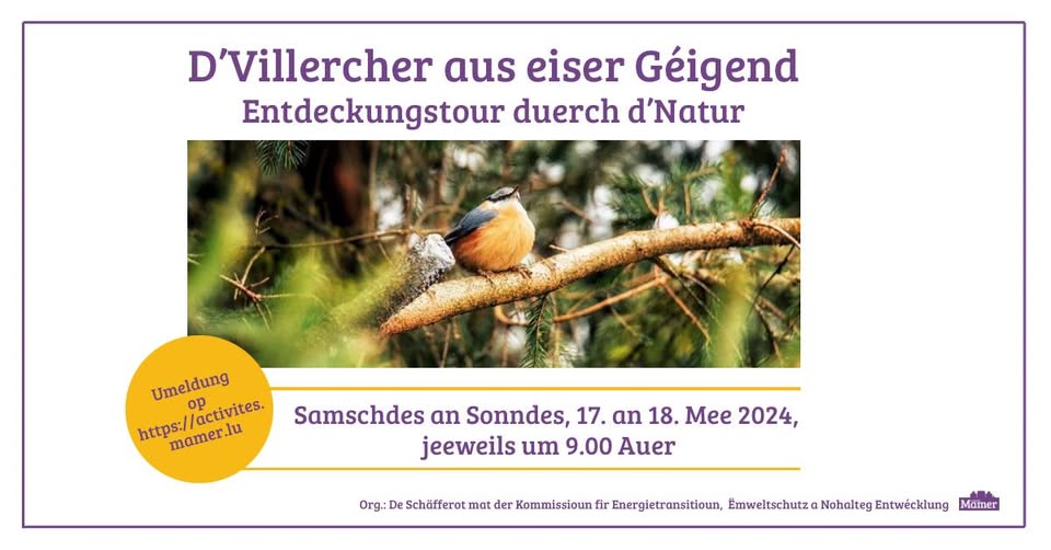 The birds of our region