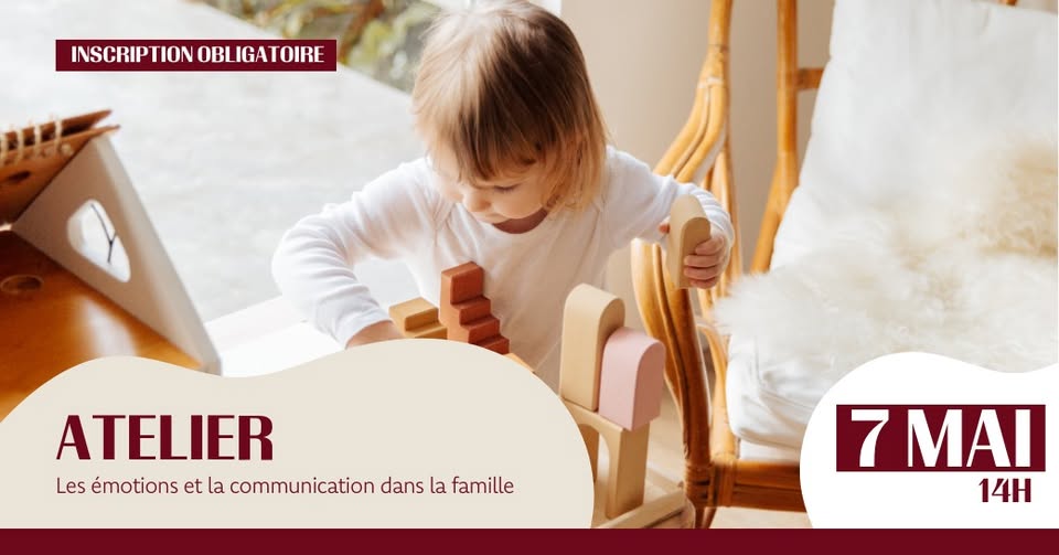 Workshop on Emotions and Communication