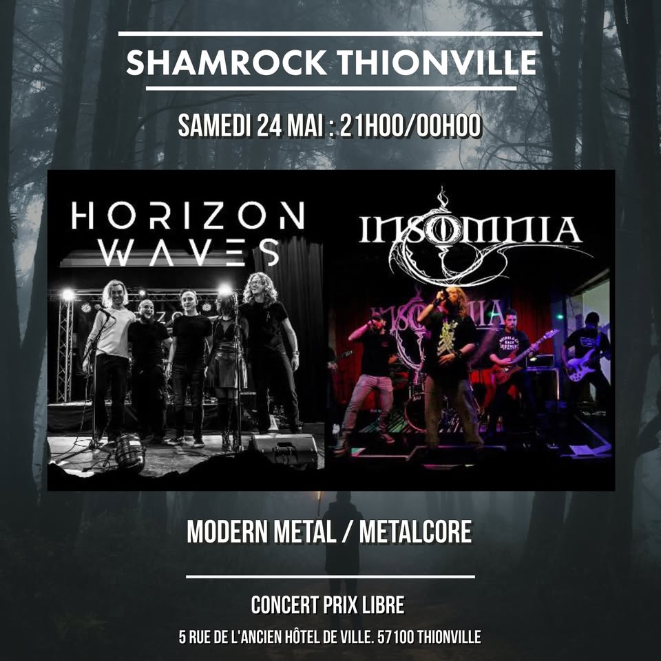 Horizon Waves / Insomnia - metal