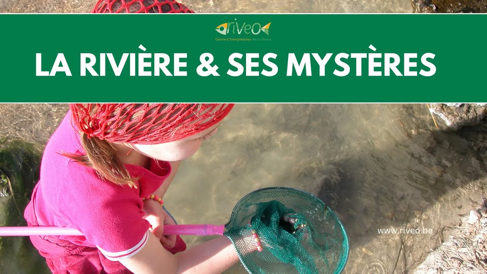 La rivière et ses mystères