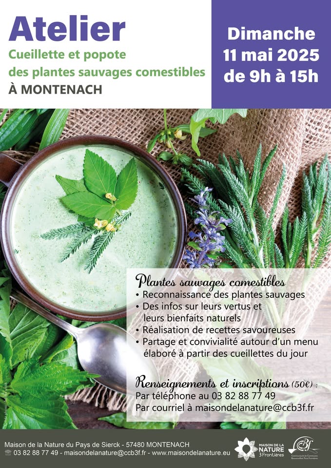 Foraging and Cooking with Edible Wild Plants