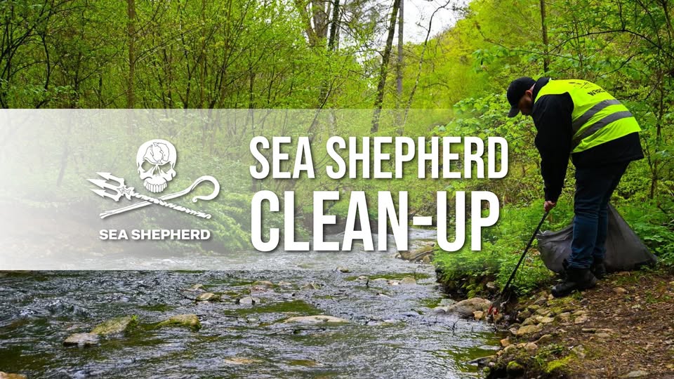Sea Shepherd Clean-Up at Kockelscheier