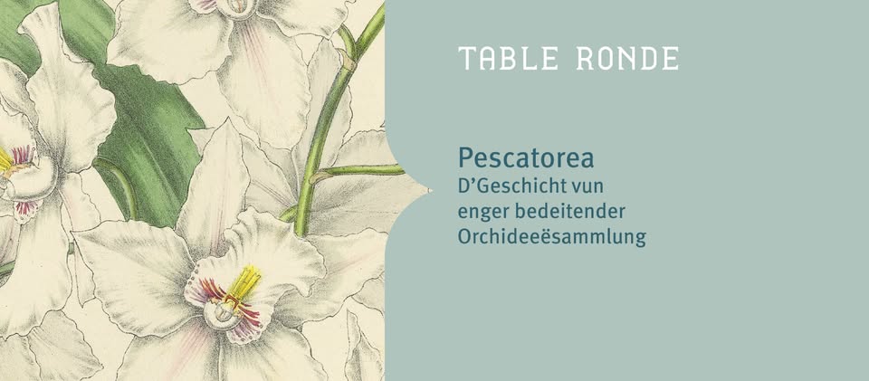 Pescatorea – L'histoire d'une collection importante d'orchidées