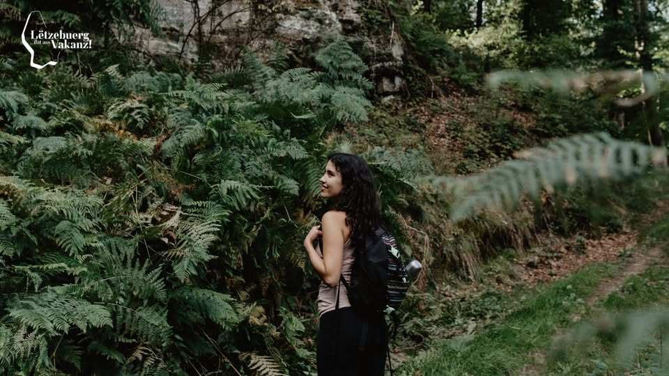 Forest Bathing