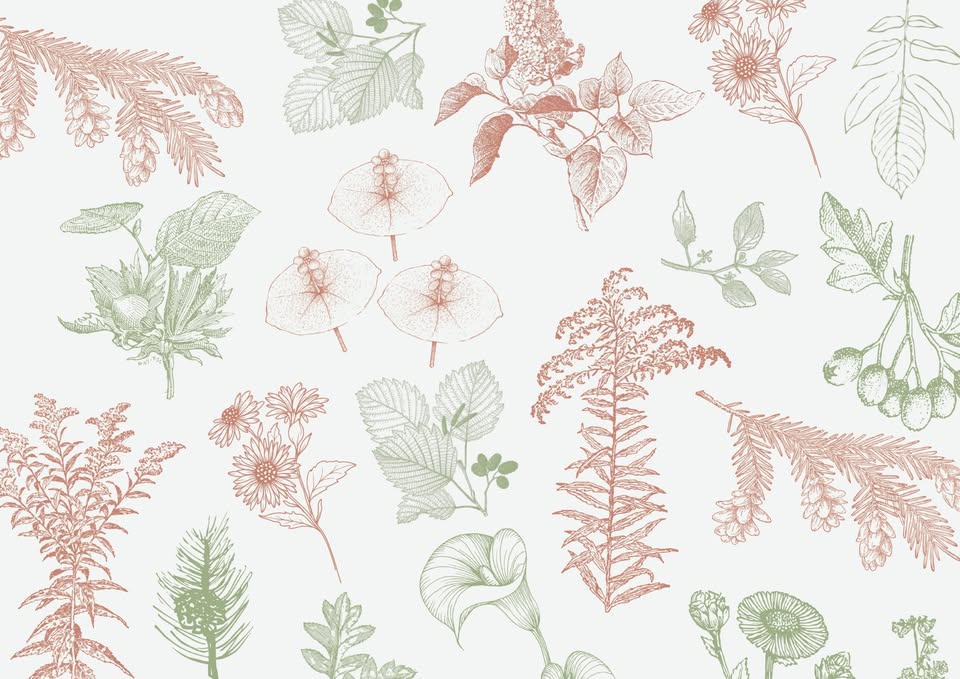 Invasive neophytes in gardens and promotion of pollinators – challenges and solutions