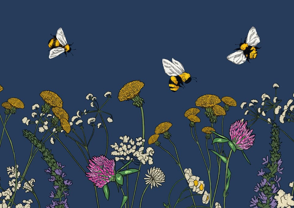Les abeilles et l’environnement – Apiculture durable : guide pour l’installation de ruches