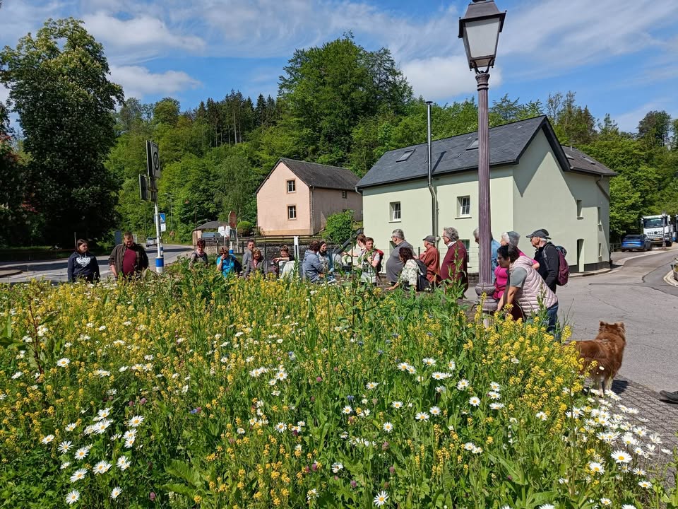 Plants in our Cities and Villages: Natural Green Areas