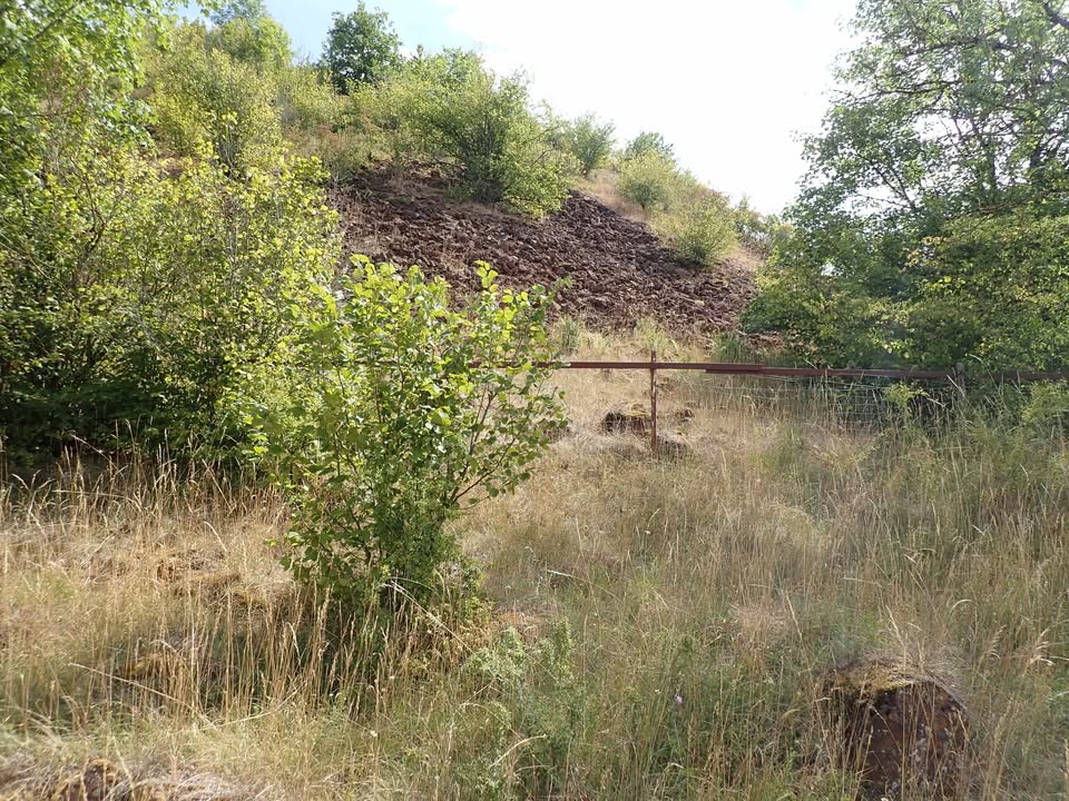 Diversity of species and habitats in Minett
