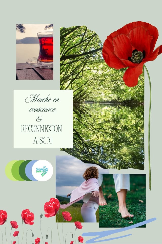 Marche en forêt & Sophrologie dynamique – Voyage intérieur en pleine nature