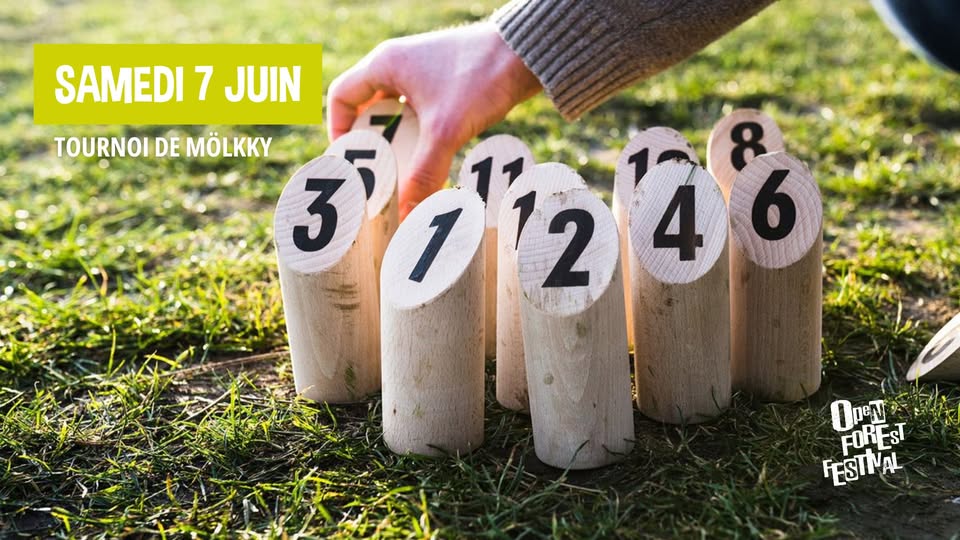 Tournoi de Mölkky