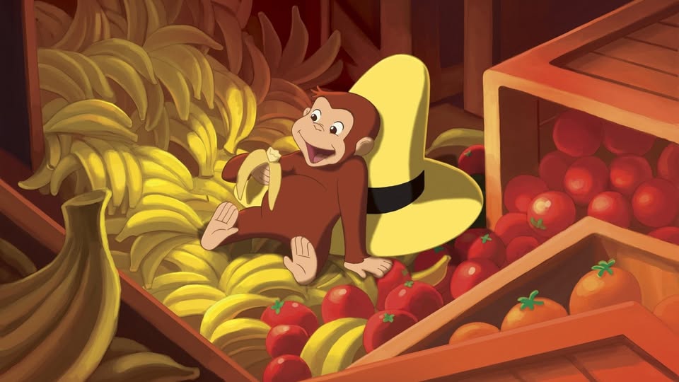 Coco, the Curious Monkey