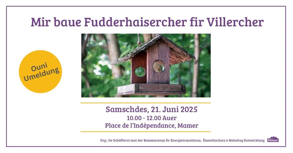 Let's build bird feeders