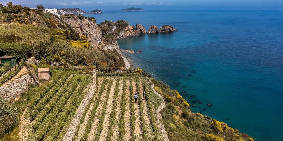 Soirée spéciale Roma : Dîner accords mets et vins (Domaine Casale del Giglio)