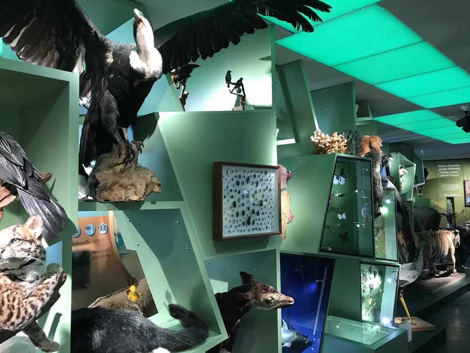 Visites guidées de l'exposition permanente