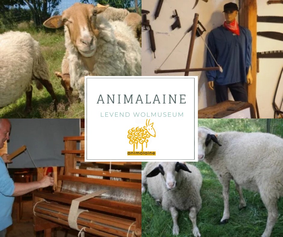 Animalaine - Visite du musée vivant de la laine