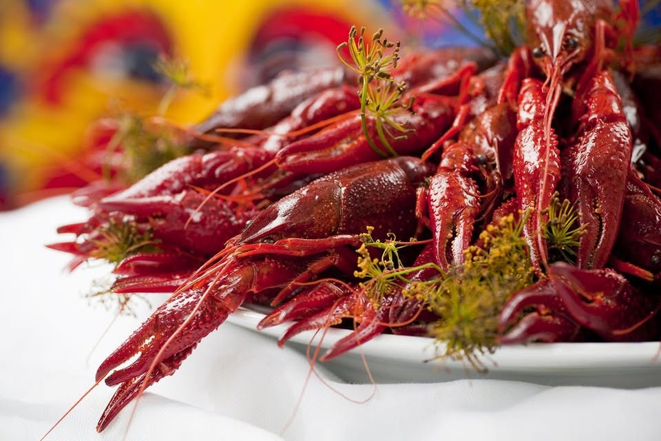 Crayfish Party @ Crossfire