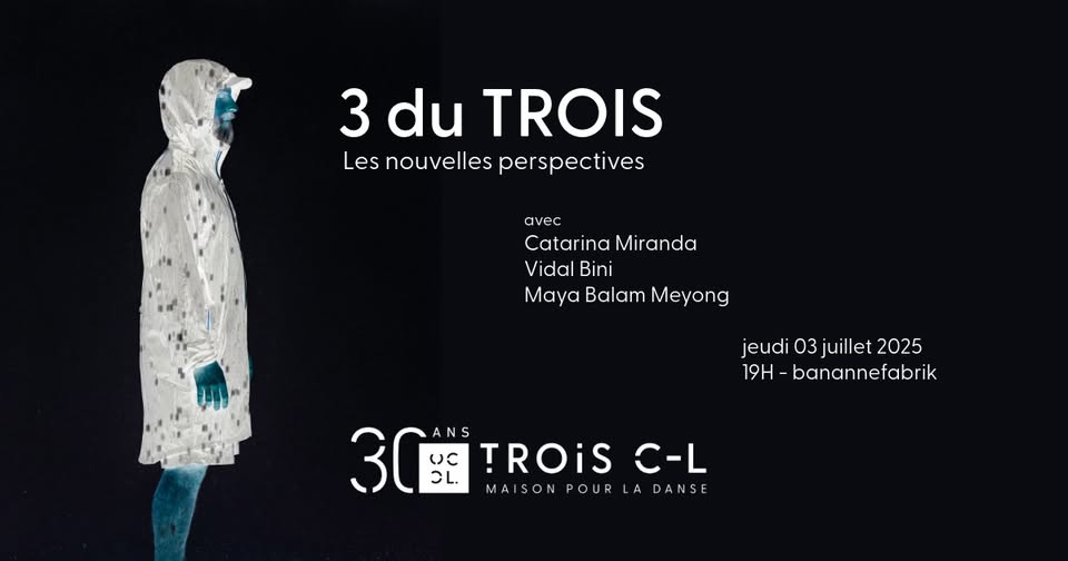 3 du Trois | The New Perspectives