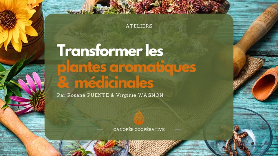 Transformer les plantes aromatiques et médicinales - Atelier #1 Mâchérats