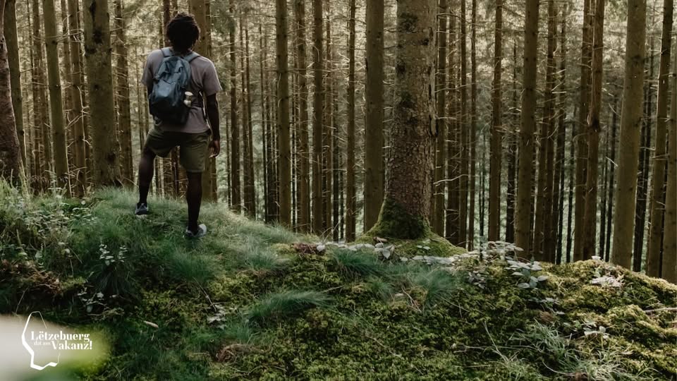 Bain de forêt