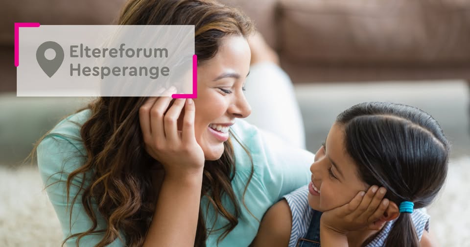 Informations sur le développement du langage (LU)