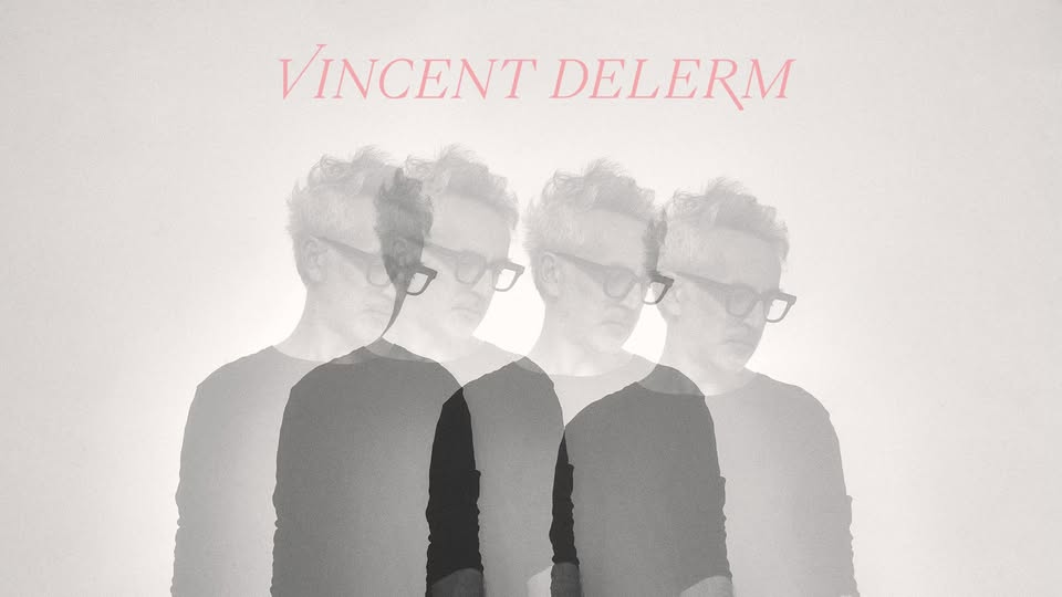 Vincent Delerm in concert
