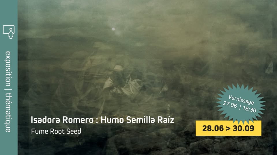 Expo : Isadora Romero - Humo Semilla Raíz