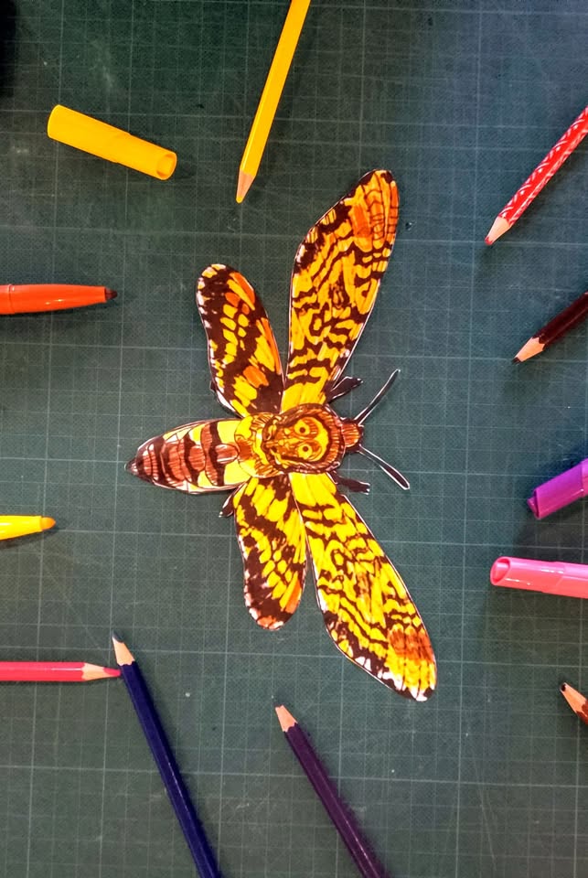 Atelier insecte en papier