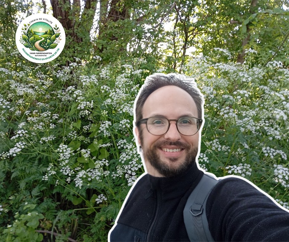 Sortie nature : Secrets de plantes et murmures de nature