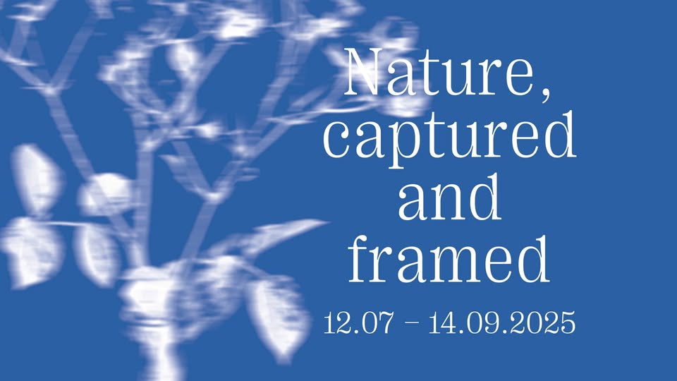 Vernissage | Exposition Nature capturée et encadrée
