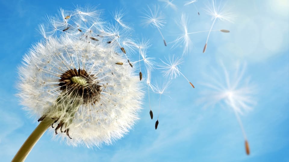 Letting go and giving support at the same time