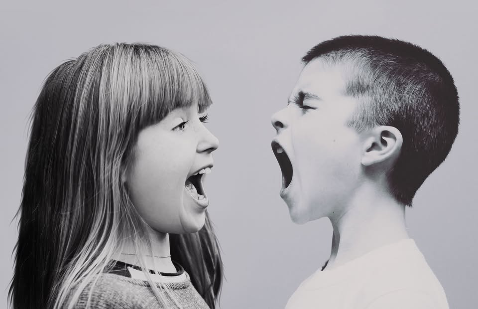 Children, Their Emotions, and Us: How to Support Big Emotions?