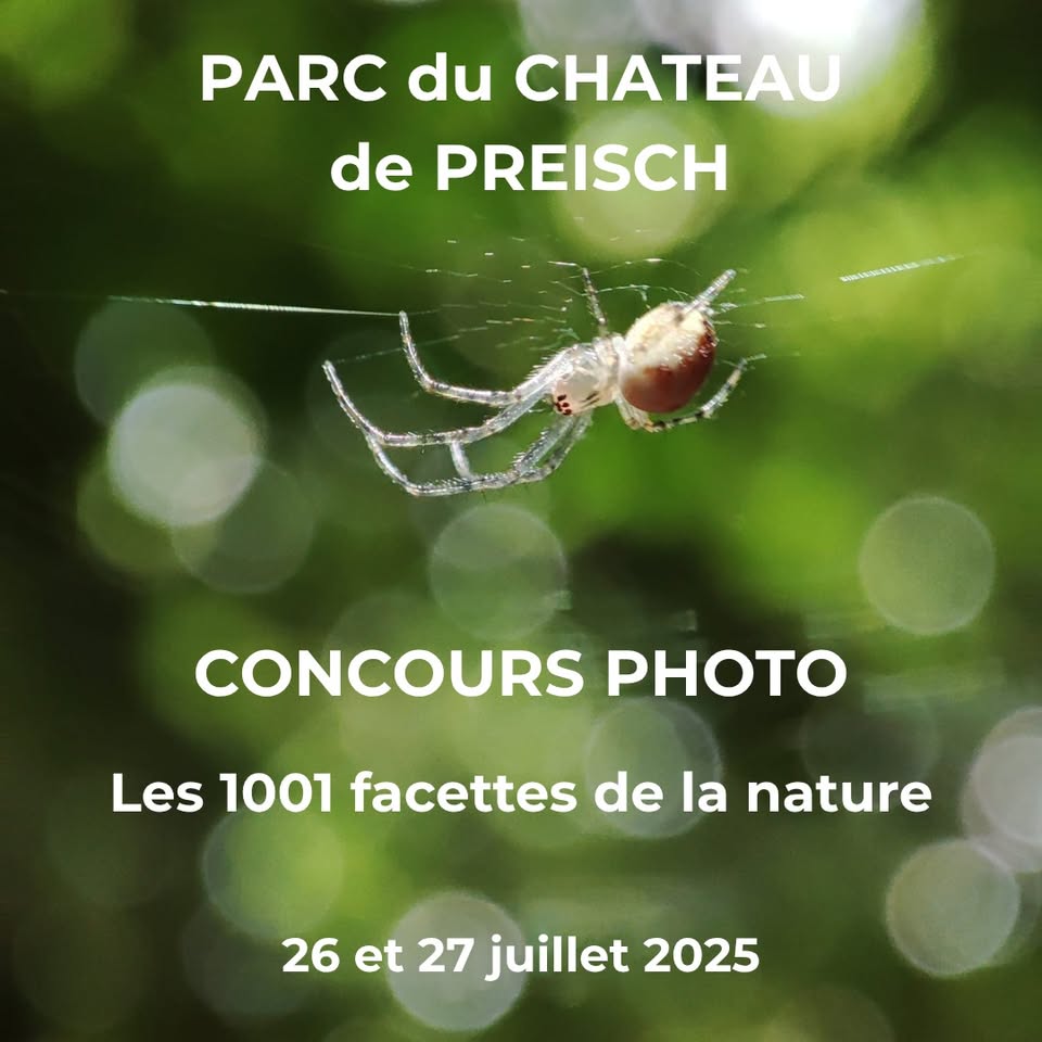Concours photo