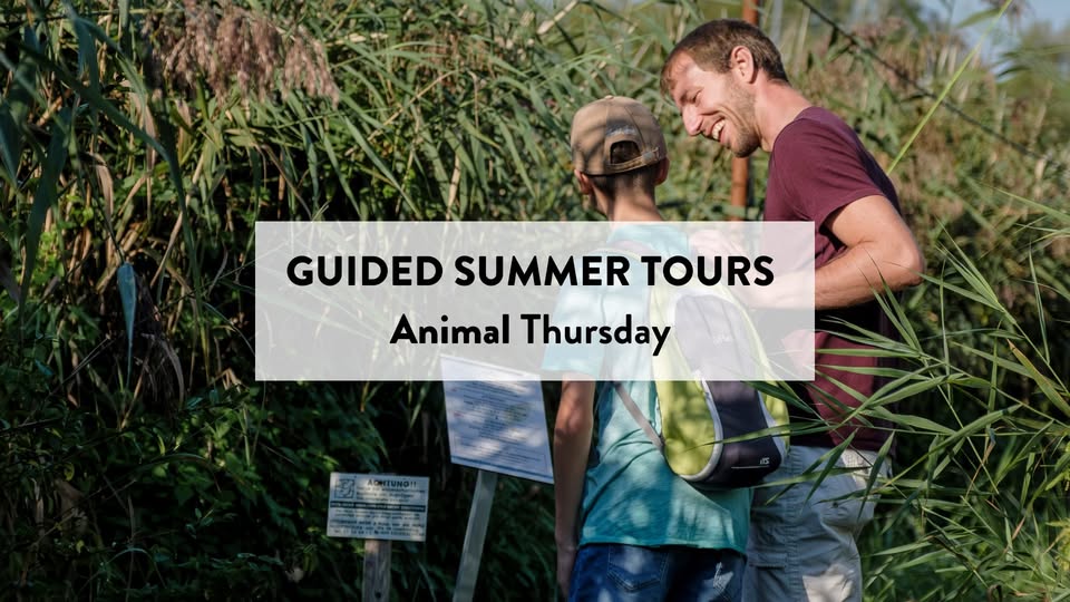 Guided tour of the Schlammwiss nature reserve