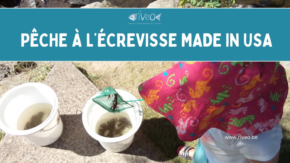 Pêche à l'écrevisse made in USA