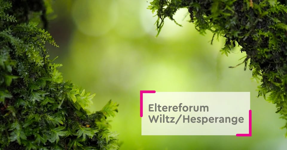 ZEN in the forest | Mindfulness in the forest for parents