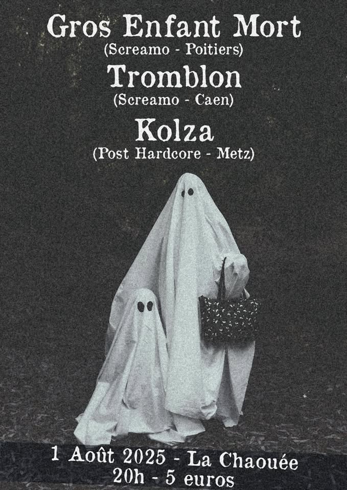 Gros Enfant Mort (Screamo - Poitiers) + Tromblon (Screamo - Caen) + Kolza (Post Hardcore - Metz)