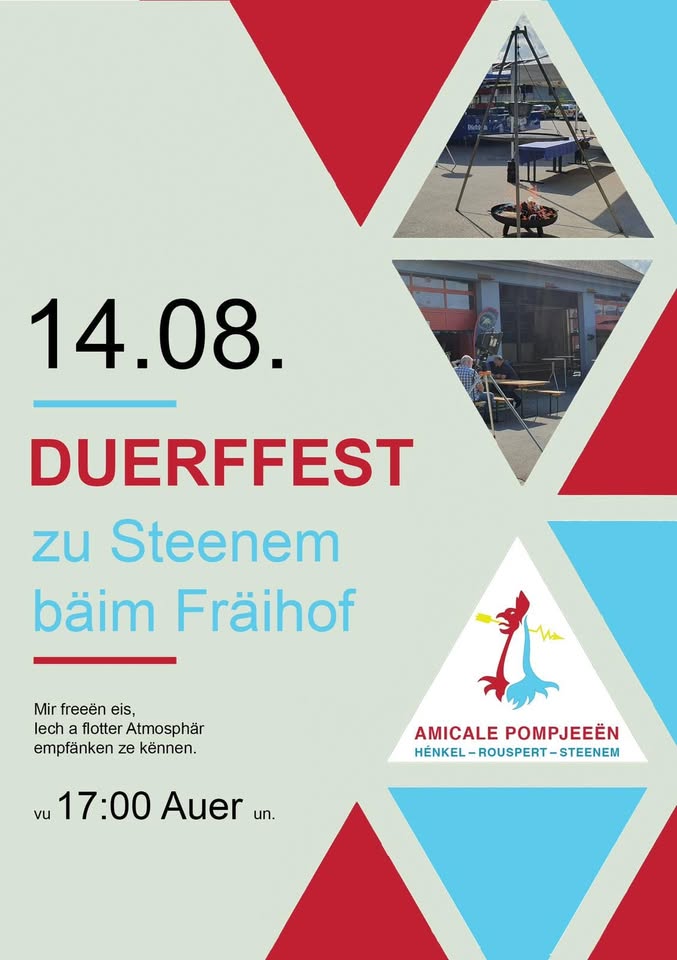 Village festival in Steenem