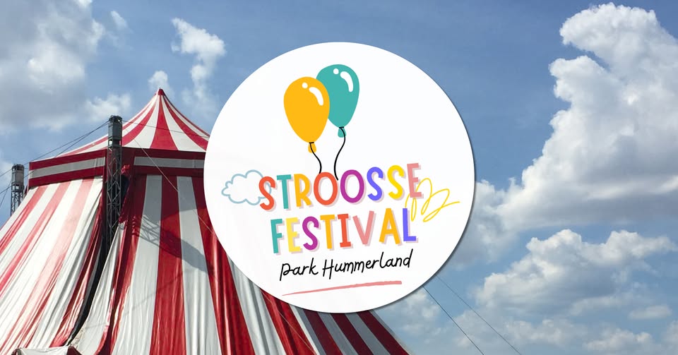 The Street Festival at Hummerland Park