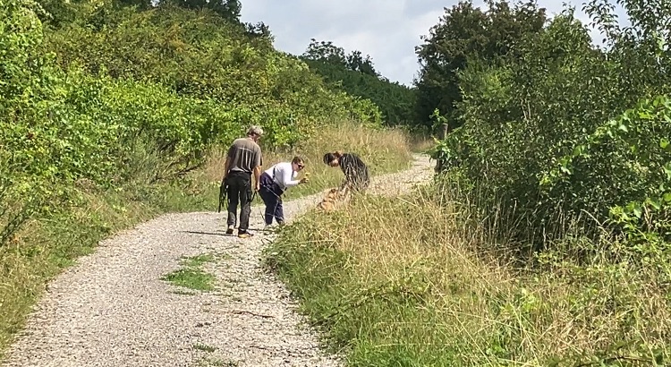 Mantrailing (initiation et confirmés)